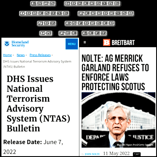 Exclude BLM & Pro-abortion, Domestic Terrorism / US Legal&nbsp;Definition